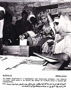 Algerie propagande 001
